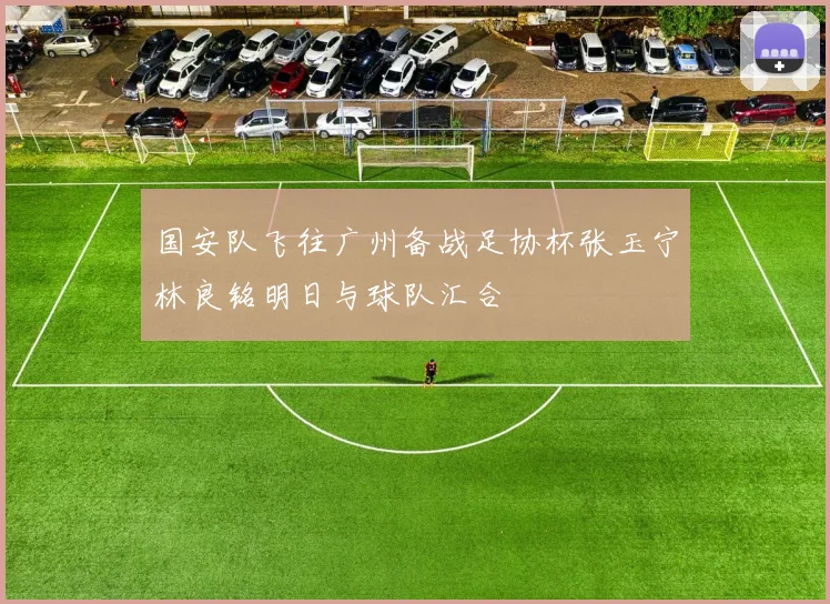 国安队飞往广州备战足协杯张玉宁林良铭明日与球队汇合